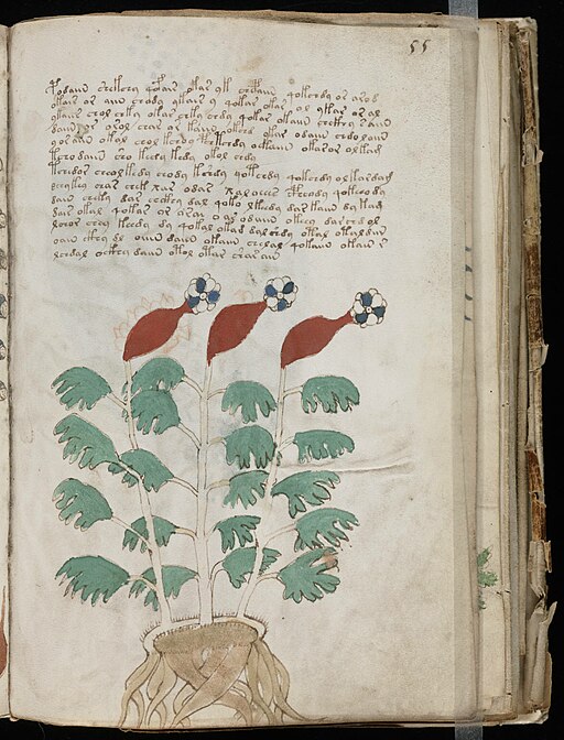 Sample of the Voynich Manuscript's unique and undeciphered 'Voynichese' text